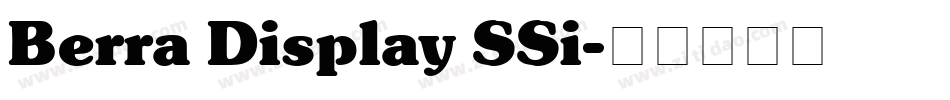 Berra Display SSi字体转换